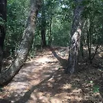 Riemershof Hébergement de vacances Ermelo