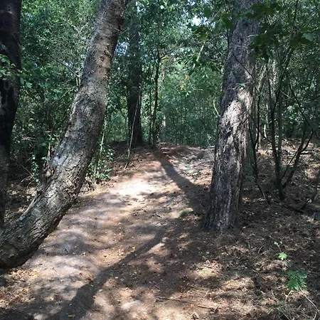 Riemershof Semesterbostad Ermelo