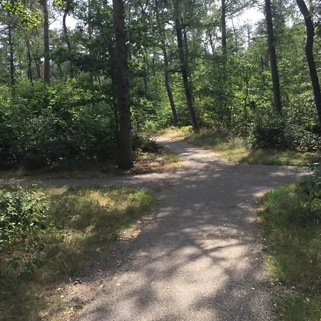 Riemershof Semesterbostad Ermelo