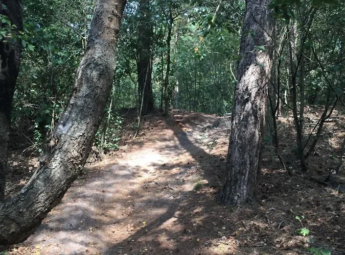 Riemershof Vakantiehuis Ermelo