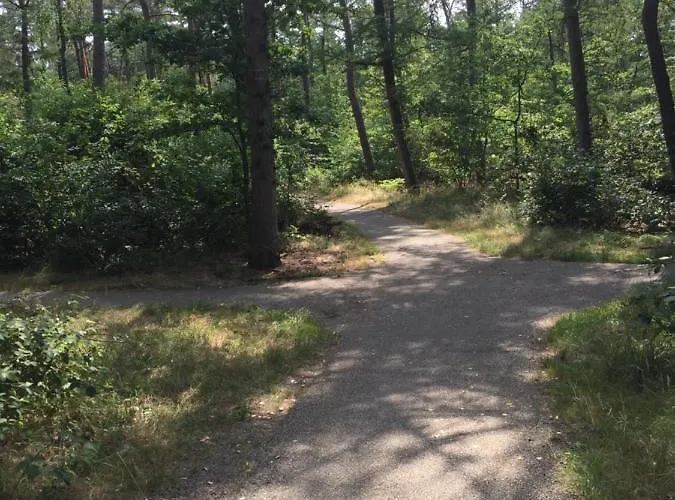 Riemershof Holiday home Ermelo